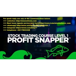 ADAM KHOO - Piranha Profits - Stock Trading Course Level 1 profit Snapper (Total size: 2.56 GB Contains: 28 files)